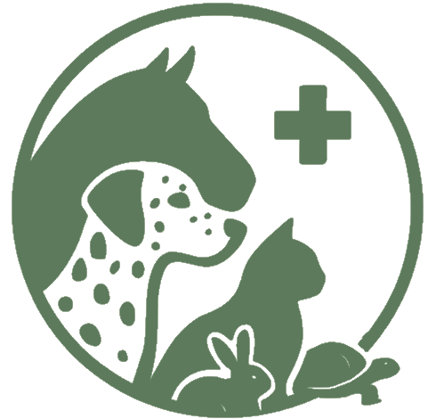 IW County RVN Services - Mobile Veterinary Nursing Isle of Wight Logo